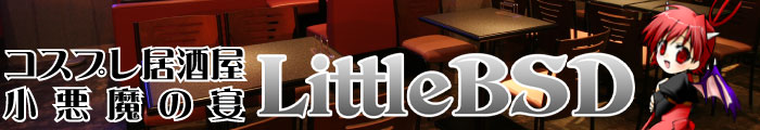 アキバ系コスプレ居酒屋　小悪魔の宴LittleBSD　秋葉原